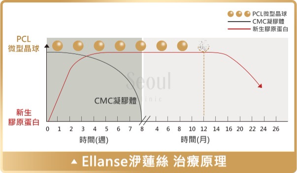 洢蓮絲_治療原理_首爾醫美