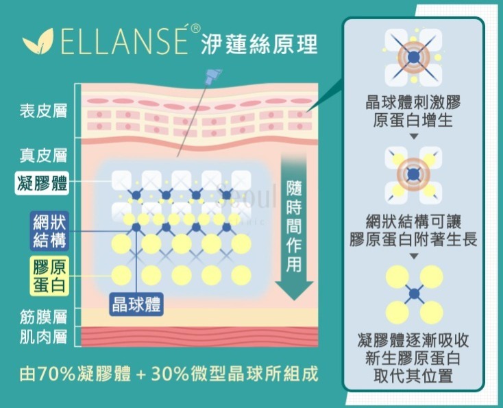 舒顏萃-ELLANSÉ洢蓮絲原理-首爾醫美