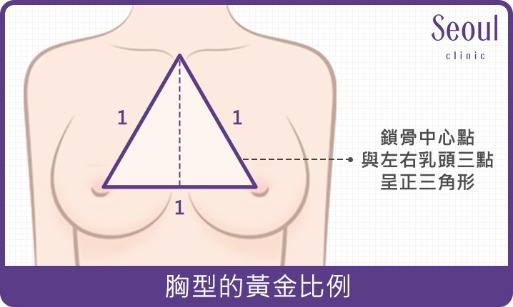 隆乳手術_胸型的黃金比例_首爾醫美