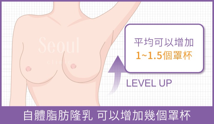 自體脂肪隆乳_自體脂肪隆乳手術可以增加幾個罩杯？_首爾醫美