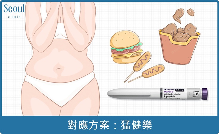 消脂針-輕度肥胖，對應方案：善纖達-首爾醫美